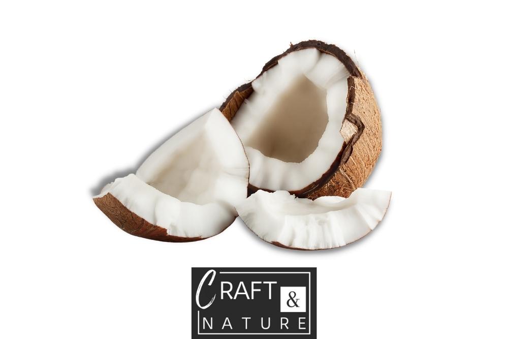 Top Natural Products for Hair to include in your Haircare Routine